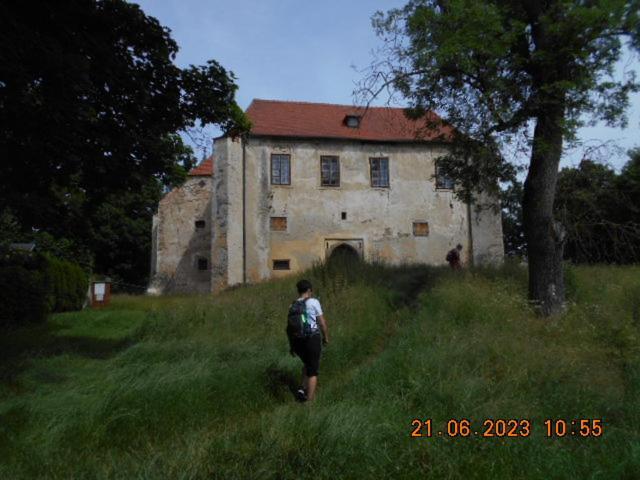 Kopretina Apartment Cerne Udoli Exterior photo